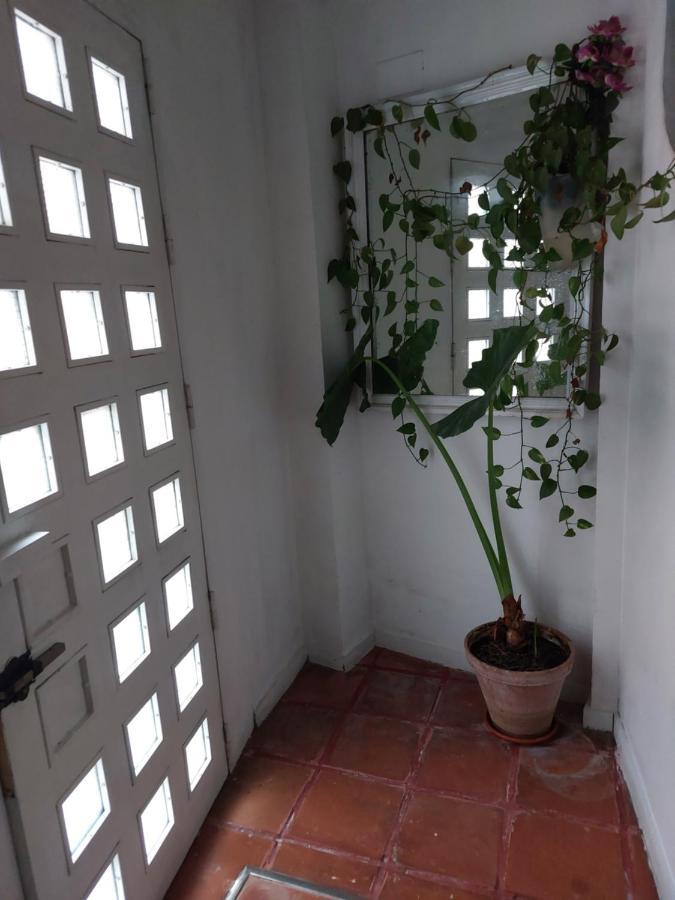 סביליה Apartamento Tipo Loth Alameda מראה חיצוני תמונה